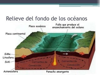Relieve del fondo de los océanos
 