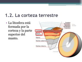 1.2. La corteza terrestre
• La litosfera está
  formada por la
  corteza y la parte
  superior del
  manto.
 