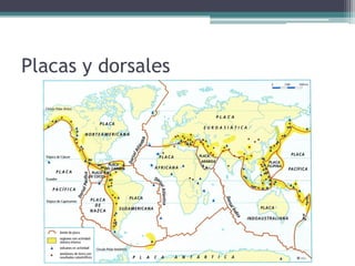 Placas y dorsales
 