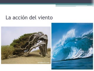 La acción del viento
 
