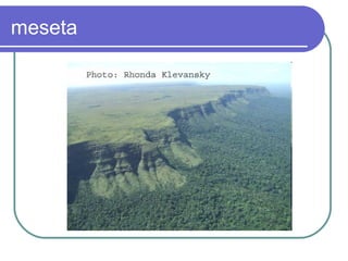 meseta
 