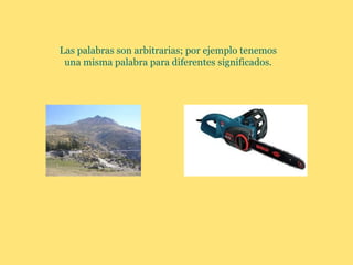 Las palabras son arbitrarias; por ejemplo tenemos
 una misma palabra para diferentes significados.
 