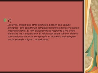 7)  Las aves, al igual que otros animales, poseen dos "relojes biológicos" que determinan complejas funciones diarias y anuales, respectivamente. El reloj biológico diario responde a los ciclos diarios de luz y temperatura. El reloj anual actúa sobre el sistema hormonal y les anuncia, por ejemplo, el momento indicado para mudar plumaje, migrar o reproducirse.    