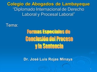 Colegio de Abogados de Lambayeque
  “Diplomado Internacional de Derecho
       Laboral y Procesal Laboral”

Tema:




        Dr. José Luis Rojas Minaya

                                        1
 