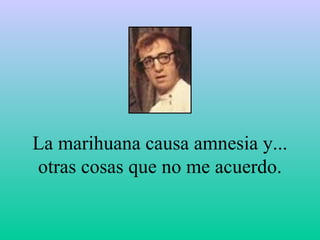 La marihuana causa amnesia y... otras cosas que no me acuerdo. 
