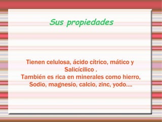 Sus propiedades Tienen celulosa, ácido cítrico, mático y  Salicícilico . También es rica en minerales como hierro, Sodio, magnesio, calcio, zinc, yodo.... 
