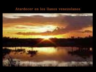 Atardecer en los llanos venezolanos 