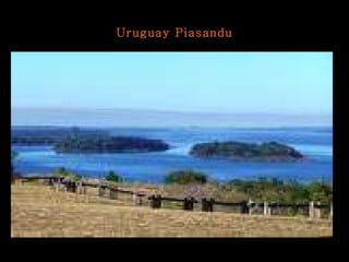 Uruguay Piasandu 