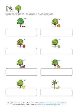 ESCRIBE EL NOMBRE DE LOS ÁRBOLES Y PLANTAS FRUTALES




Autor pictogramas: Sergio Palao Procedencia: ARASAAC http://catedu.es/arasaac/ Licencia: CC (BY-
           NC) Autora: Amaya Padilla Collado http://www.garachicoenclave.blogspot.com
 