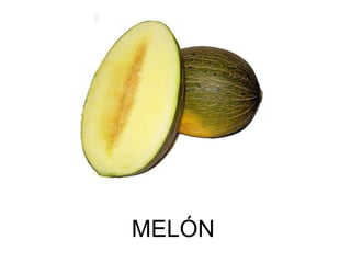 MELÓN 