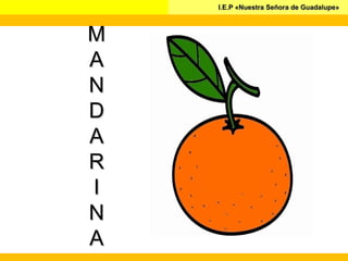 I.E.P «Nuestra Señora de Guadalupe»I.E.P «Nuestra Señora de Guadalupe»
MM
AA
NN
DD
AA
RR
II
NN
AA
 