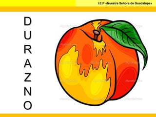 I.E.P «Nuestra Señora de Guadalupe»I.E.P «Nuestra Señora de Guadalupe»
DD
UU
RR
AA
ZZ
NN
OO
 