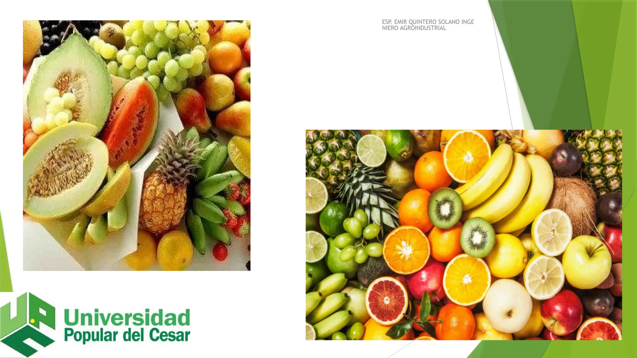 LAS FRUTAS y FISIOLOGIA.pptx Definición bajó norma técnica | PPTX