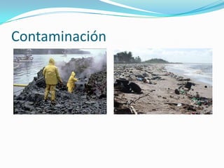 Contaminación

 