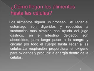 Los alimentos siguen un proceso . Al llegar al
estomago son digeridos y reducidos a
sustancias mas simples con ayuda del jugo
gástrico, en el intestino delgado, son
absorbidos, para luego pasar a la sangre y
circular por todo el cuerpo hasta llegar a las
celulas.La respiración proporciona el oxigeno
para oxidarlos y producir la energía dentro de la
células.

                                           2
 