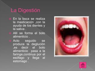  En la boca se realiza
  la masticación ,con la
  ayuda de los dientes y
  la saliva .
 Allí se forma el bolo
  alimenticio .
 Acto      seguido   se
  produce la deglución
  ,es decir el bolo
  alimenticio pasa a la
  faringe,continua por el
  esófago y llega al
  estomago .

                            4
 