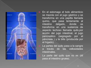    En el estomago el bolo alimenticio
    se mezcla con el jugo gástrico y se
    transforma en una papilla llamada
    quimo, que pasa lentamente al
    intestino    delgado,    donde    se
    transforma en una sustancia de
    aspecto lechoso llamada quilo,por
    acción del jugo intestinal, el jugo
    pancreático (segregado por el
    páncreas ) y la bilis (producida por
    el hígado).
   La partes del quilo pasa a la sangre
    a través de las vellosidades
    intestinales.
   La parte del quilo que no es útil
    pasa al intestino grueso.

                                   5
 