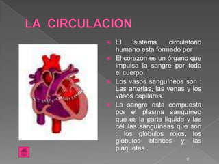  El    sistema      circulatorio
  humano esta formado por
 El corazón es un órgano que
  impulsa la sangre por todo
  el cuerpo.
 Los vasos sanguíneos son :
  Las arterias, las venas y los
  vasos capilares.
 La sangre esta compuesta
  por el plasma sanguíneo
  que es la parte liquida y las
  células sanguíneas que son
  : los glóbulos rojos, los
  glóbulos blancos y las
  plaquetas.
                           8
 