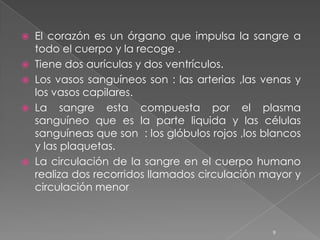  El corazón es un órgano que impulsa la sangre a
  todo el cuerpo y la recoge .
 Tiene dos aurículas y dos ventrículos.
 Los vasos sanguíneos son : las arterias ,las venas y
  los vasos capilares.
 La sangre esta compuesta por el plasma
  sanguíneo que es la parte liquida y las células
  sanguíneas que son : los glóbulos rojos ,los blancos
  y las plaquetas.
 La circulación de la sangre en el cuerpo humano
  realiza dos recorridos llamados circulación mayor y
  circulación menor



                                                9
 