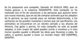 Se ha propuesto una campaña, llamada LA HUELLA GRIS, que se
realiza gracias a la empresa SOSADOPTA. Esta campaña se ha
realizado con el fin de convencer a las personas que quieran tener
una nueva mascota, que en vez de comprar animales que los adopten
de la perrera, ya que cuando pasa un tiempo determinado, a los
cachorros no los pueden mantener y tienen que ser sacrificarlos. Los
animalitos se encuentran en un recinto cerrado a las afueras de
Almería, hay gatos y perros. En esta campaña no solo se puede
adoptar, si eres mayor de edad puedes unirte a nosotros y si eres
menor puedes ayudar a difundir las ideas que llevamos a cabo. Ya
sabes, si quieres ayudar a tener un mundo mejor ¡NO COMPRES,
ADOPTA!
 