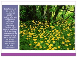 Las plantas son
capaces de
percibir los
cambios
ambientales que
actúan como
estímulos
externos y
reaccionar
frente a ellos.
Como la movilidad
de la planta es
muy reducida, la
respuesta ante
estos estímulos
no origina
desplazamiento,
sino un tipo u
otro de
movimiento.
 