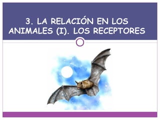 3. LA RELACIÓN EN LOS
ANIMALES (I). LOS RECEPTORES
 
