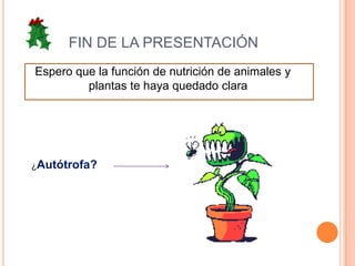 FIN DE LA PRESENTACIÓNEspero que la función de nutrición de animales y plantas te haya quedado clara¿Autótrofa?