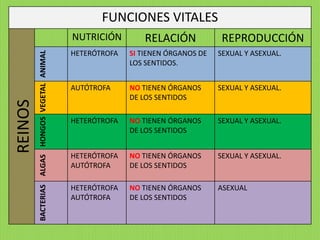 FUNCIONES VITALES
                                       NUTRICIÓN        RELACIÓN             REPRODUCCIÓN
                                       HETERÓTROFA   SI TIENEN ÓRGANOS DE   SEXUAL Y ASEXUAL.
         ALGAS HONGOS VEGETAL ANIMAL

                                                     LOS SENTIDOS.


                                       AUTÓTROFA     NO TIENEN ÓRGANOS      SEXUAL Y ASEXUAL.
                                                     DE LOS SENTIDOS
REINOS




                                       HETERÓTROFA   NO TIENEN ÓRGANOS      SEXUAL Y ASEXUAL.
                                                     DE LOS SENTIDOS


                                       HETERÓTROFA   NO TIENEN ÓRGANOS      SEXUAL Y ASEXUAL.
                                       AUTÓTROFA     DE LOS SENTIDOS

                                       HETERÓTROFA   NO TIENEN ÓRGANOS      ASEXUAL
         BACTERIAS




                                       AUTÓTROFA     DE LOS SENTIDOS
 