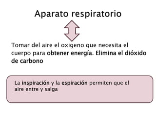 Tomar del aire el oxigeno que necesita el
cuerpo para obtener energía. Elimina el dióxido
de carbono
La inspiración y la espiración permiten que el
aire entre y salga
 