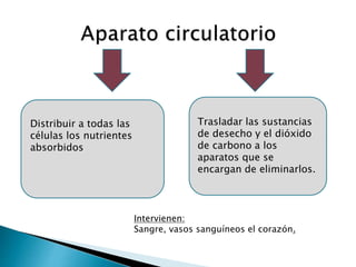 Trasladar las sustancias
de desecho y el dióxido
de carbono a los
aparatos que se
encargan de eliminarlos.
Distribuir a todas las
células los nutrientes
absorbidos
Intervienen:
Sangre, vasos sanguíneos el corazón.
 