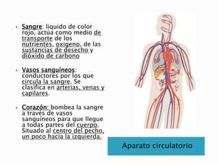Aparato circulatorio
 Sangre: liquido de color
rojo, actúa como medio de
transporte de los
nutrientes, oxigeno, de las
sustancias de desecho y
dióxido de carbono
 Vasos sanguíneos:
conductores por los que
circula la sangre. Se
clasifica en arterias, venas y
capilares.
 Corazón: bombea la sangre
a través de vasos
sanguíneos para que llegue
a todas partes del cuerpo.
Situado al centro del pecho,
un poco hacia la izquierda.
 