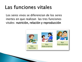 Los seres vivos se diferencian de los seres
inertes en que realizan las tres funciones
vitales: nutrición, relación y reproducción
 