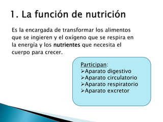 Es la encargada de transformar los alimentos
que se ingieren y el oxígeno que se respira en
la energía y los nutrientes que necesita el
cuerpo para crecer.
Participan:
Aparato digestivo
Aparato circulatorio
Aparato respiratorio
Aparato excretor
 