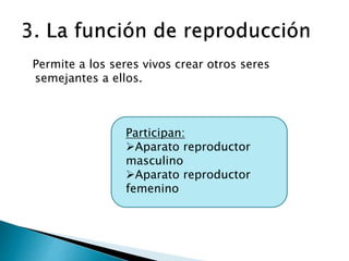 Permite a los seres vivos crear otros seres
semejantes a ellos.
Participan:
Aparato reproductor
masculino
Aparato reproductor
femenino
 