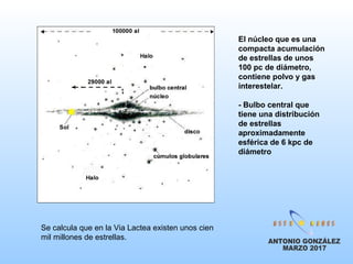 El núcleo que es una
compacta acumulación
de estrellas de unos
100 pc de diámetro,
contiene polvo y gas
interestelar.
- Bulbo central que
tiene una distribución
de estrellas
aproximadamente
esférica de 6 kpc de
diámetro
Se calcula que en la Via Lactea existen unos cien
mil millones de estrellas.
 