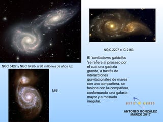 NGC 5427 y NGC 5426- a 90 millones de años luz
M51
NGC 2207 e IC 2163
El 'canibalismo galáctico
'se refiere al proceso por
el cual una galaxia
grande, a través de
interacciones
gravitacionales de marea
con una compañera, se
fusiona con la compañera,
conformando una galaxia
mayor y a menudo
irregular.
 