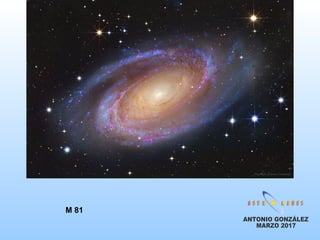 M 81
 