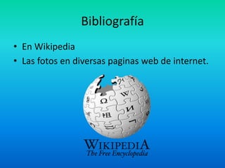 Bibliografía
• En Wikipedia
• Las fotos en diversas paginas web de internet.
