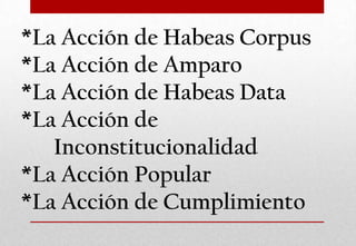 *La Acción de Habeas Corpus
*La Acción de Amparo
*La Acción de Habeas Data
*La Acción de
Inconstitucionalidad
*La Acción Popular
*La Acción de Cumplimiento

 