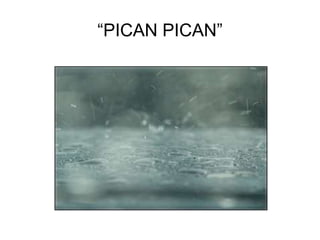 “PICAN PICAN”
 