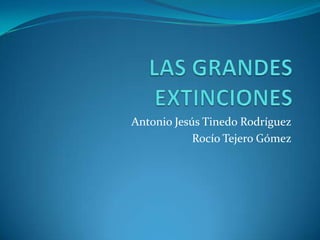 LAS GRANDES EXTINCIONES Antonio Jesús Tinedo Rodríguez Rocío Tejero Gómez 