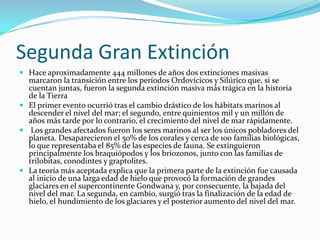 Segunda Gran ExtinciónHace aproximadamente 444 millones de años dos extinciones masivas marcaron la transición entre los períodos Ordovícicos y Silúrico que, si se cuentan juntas, fueron la segunda extinción masiva más trágica en la historia de la TierraEl primer evento ocurrió tras el cambio drástico de los hábitats marinos al descender el nivel del mar; el segundo, entre quinientos mil y un millón de años más tarde por lo contrario, el crecimiento del nivel de mar rápidamente. Los grandes afectados fueron los seres marinos al ser los únicos pobladores del planeta. Desaparecieron el 50% de los corales y cerca de 100 familias biológicas, lo que representaba el 85% de las especies de fauna. Se extinguieron principalmente los braquiópodos y los briozonos, junto con las familias de trilobitas, conodintes y graptolites.La teoría más aceptada explica que la primera parte de la extinción fue causada al inicio de una larga edad de hielo que provocó la formación de grandes glaciares en el supercontinenteGondwana y, por consecuente, la bajada del nivel del mar. La segunda, en cambio, surgió tras la finalización de la edad de hielo, el hundimiento de los glaciares y el posterior aumento del nivel del mar.