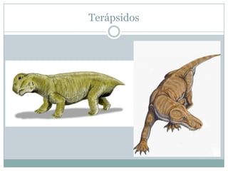 Terápsidos

 