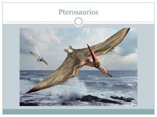 Pterosaurios

 