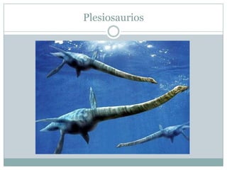 Plesiosaurios

 