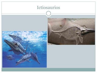 Ictiosaurios

 