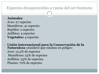 Especies desaparecidas a causa del ser humano
•
•

Animales
Aves: 27 especies
Mamíferos: 41 especies
Reptiles: 2 especies
Anfibios: 4 especies
Vegetales: 4 especies

• Unión Internacional para la Conservación de la
-

Naturaleza consideró que estaban en peligro:
Aves: 12,5% de especies
Mamíferos: 25% de especies
Anfibios: 33% de especies.
Plantas: 70% de especies.

 