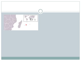 Las grandes extinciones