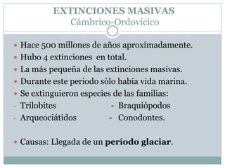 EXTINCIONES MASIVAS
Cámbrico-Ordovícico
 Hace 500 millones de años aproximadamente.
 Hubo 4 extinciones en total.
 La más pequeña de las extinciones masivas.
 Durante este periodo sólo había vida marina.

 Se extinguieron especies de las familias:
- Trilobites
- Arqueociátidos

- Braquiópodos
- Conodontes.

 Causas: Llegada de un período glaciar.

 