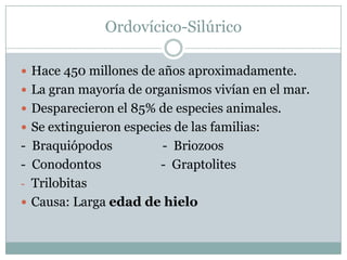 Ordovícico-Silúrico
 Hace 450 millones de años aproximadamente.
 La gran mayoría de organismos vivían en el mar.
 Desparecieron el 85% de especies animales.
 Se extinguieron especies de las familias:

- Braquiópodos
- Briozoos
- Conodontos
- Graptolites
- Trilobitas
 Causa: Larga edad de hielo

 